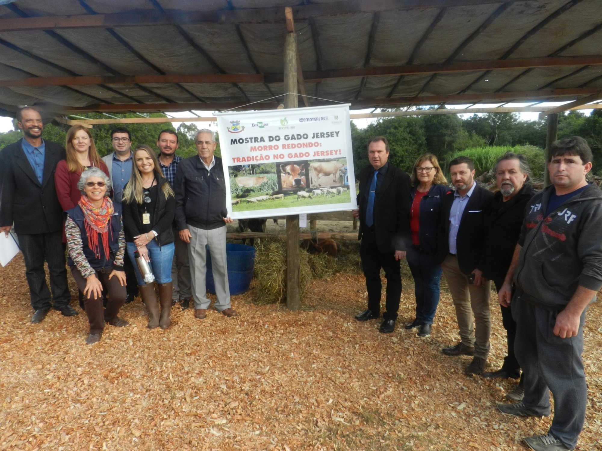 Mostra do Gado Jersey poderá proporcionar no futuro um aumento na renda dos produtores.